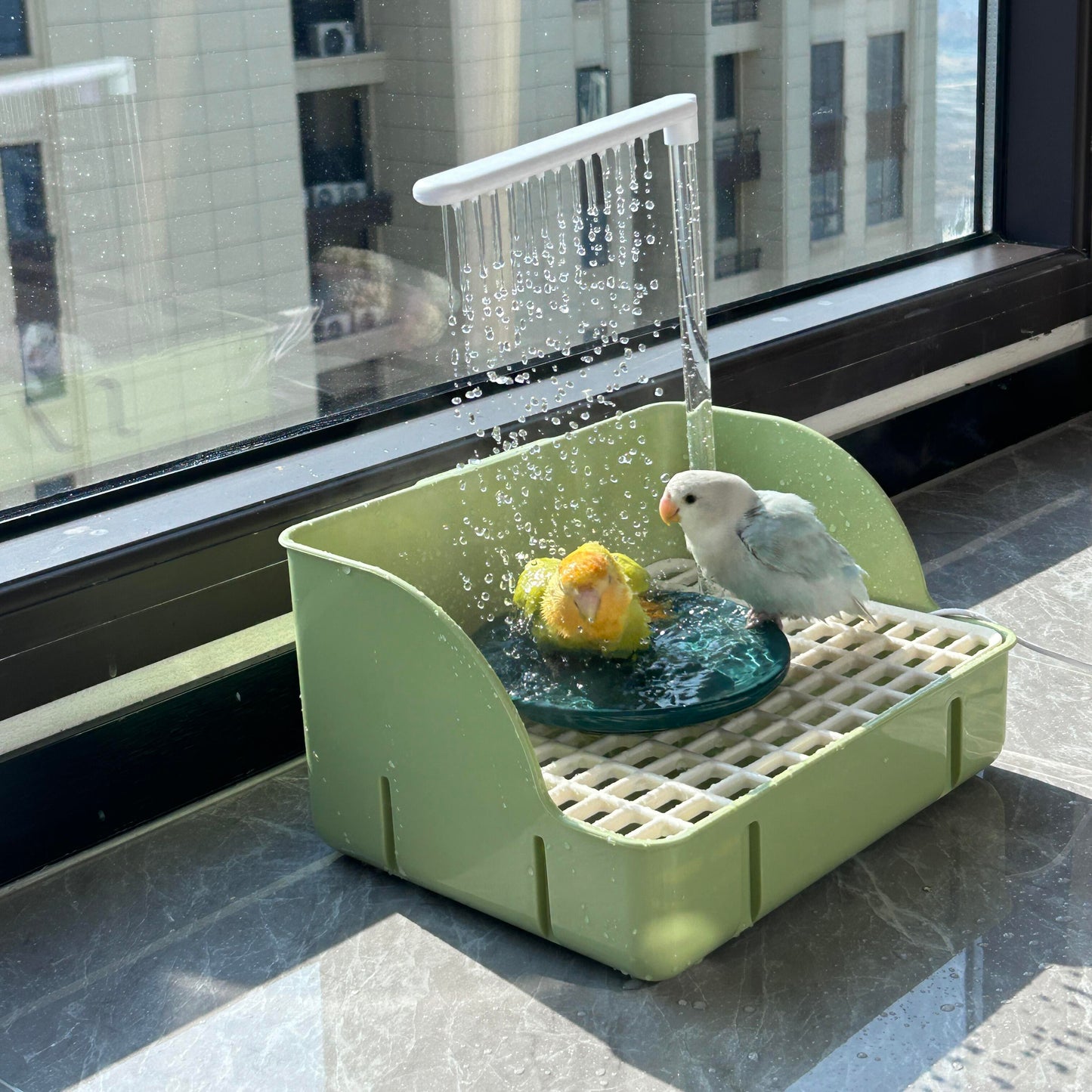 Parrot Automatic Bathing Box