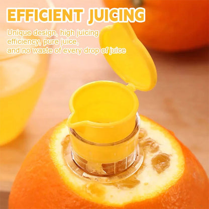 Citrus Juicer