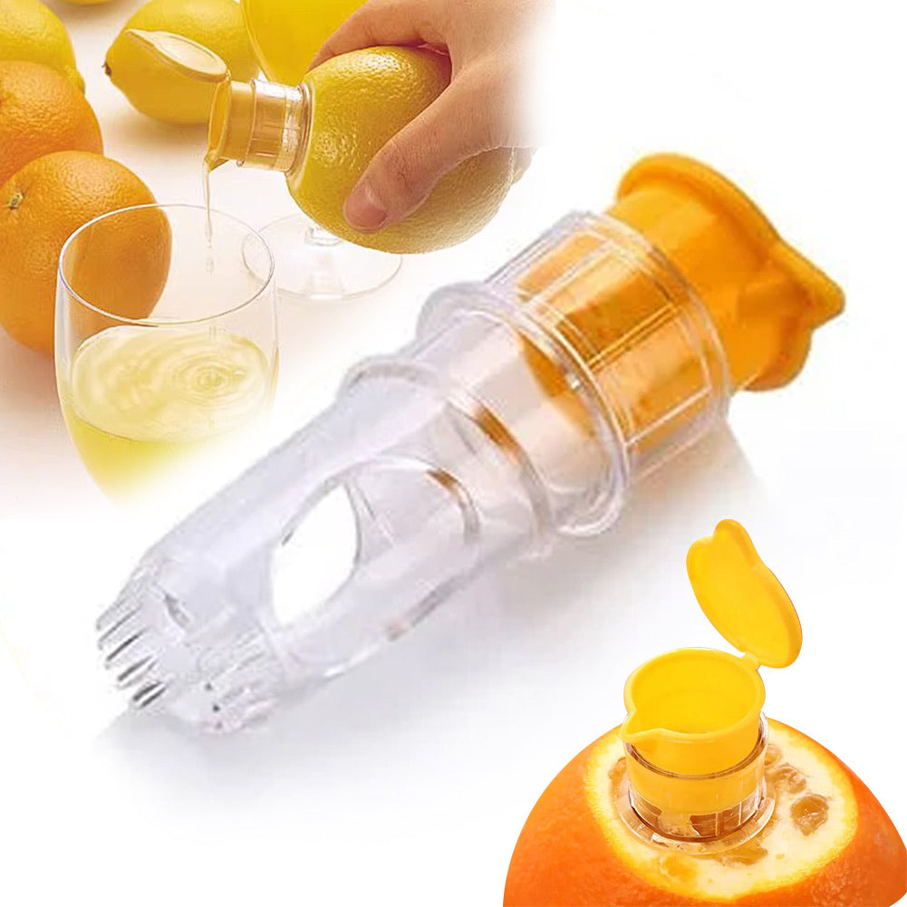 Citrus Juicer